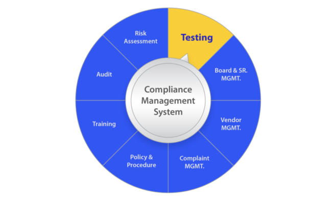 risk management consulting