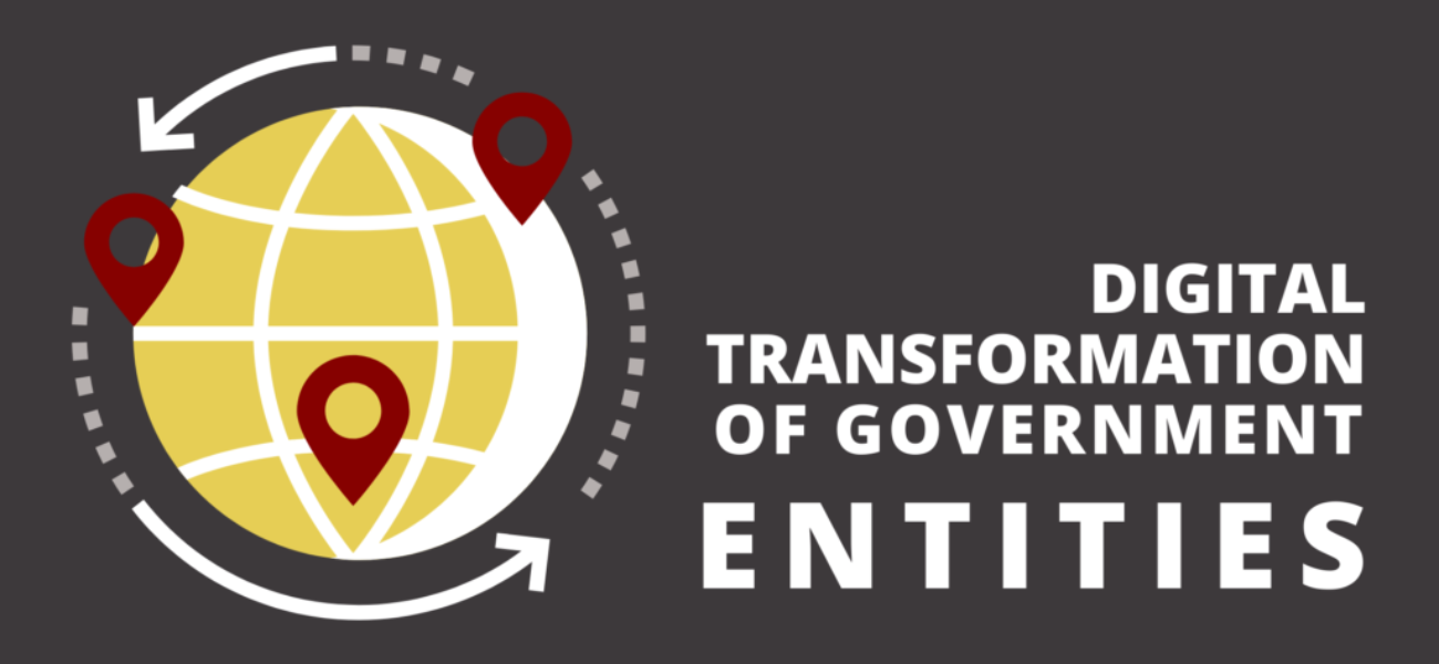 Insight Digital Transformation of Government Entities
