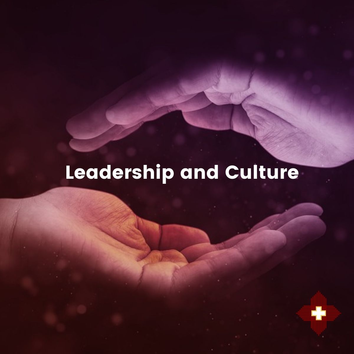 Leadership and Culture social media