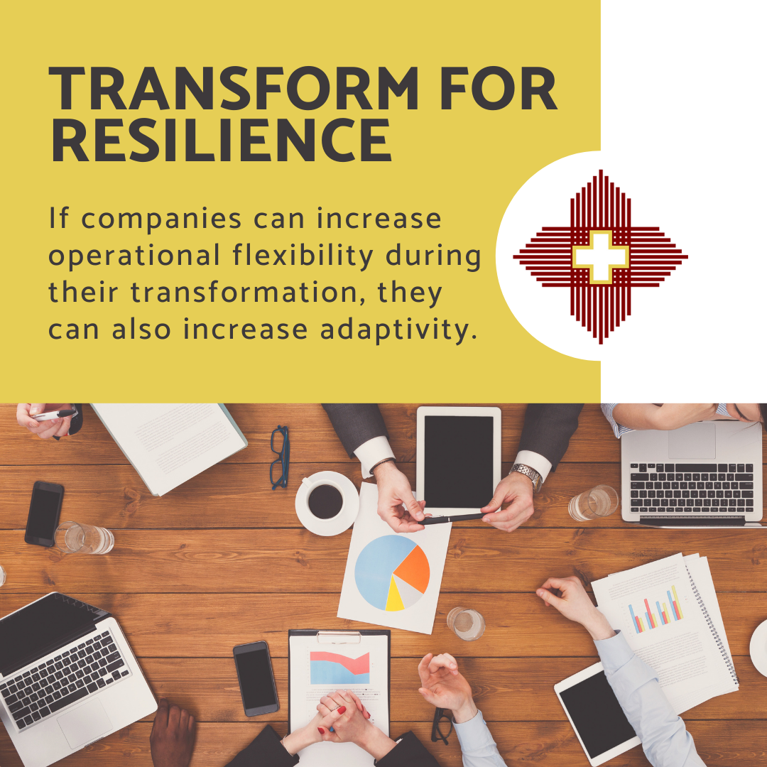 Transform for Resilience