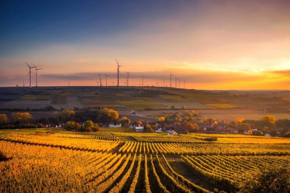 What Are Energy and Sustainability Consultants? What Are Energy and Sustainability Consultants?