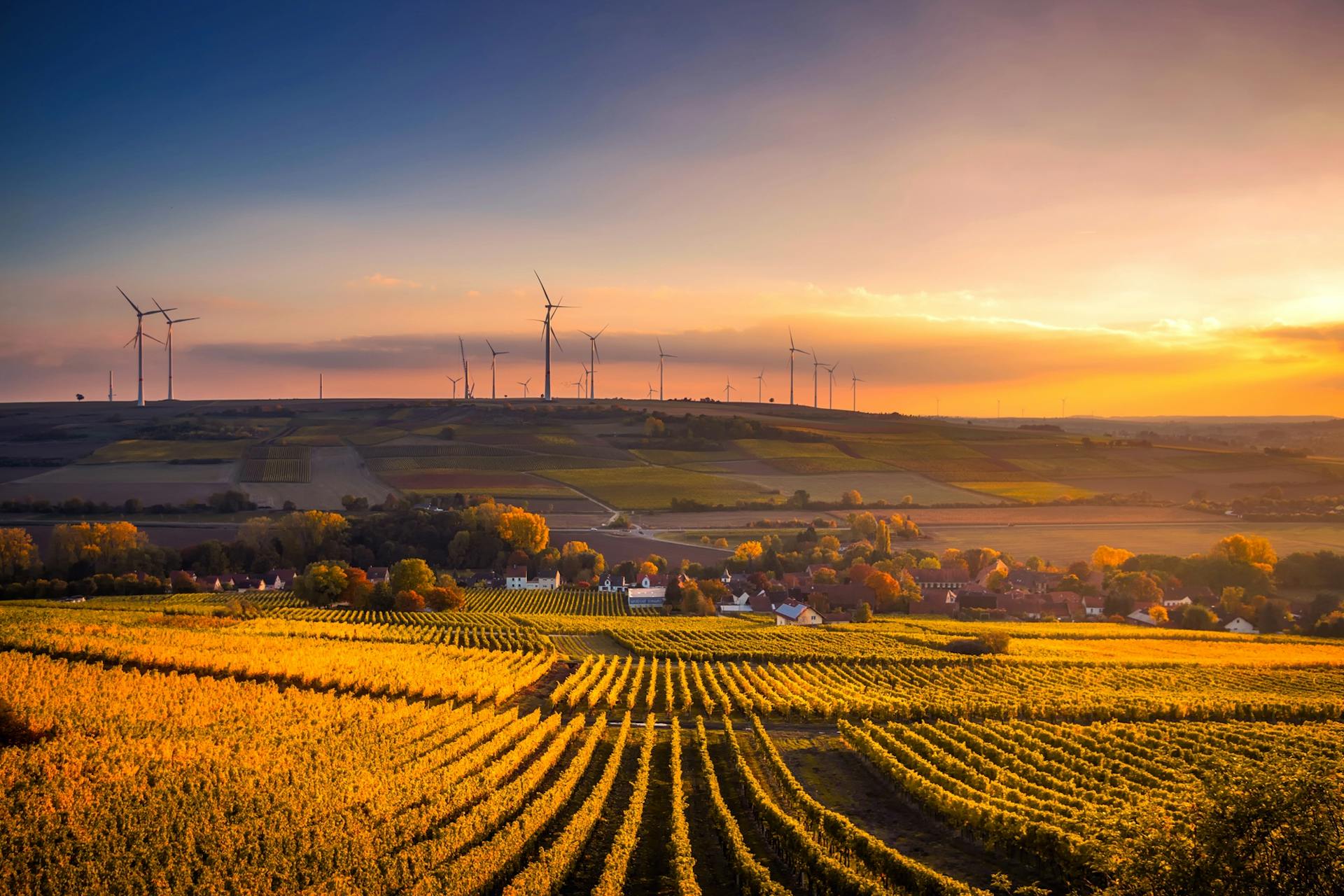 What Are Energy and Sustainability Consultants? What Are Energy and Sustainability Consultants?