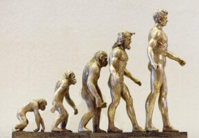 Evolution from chimp to human