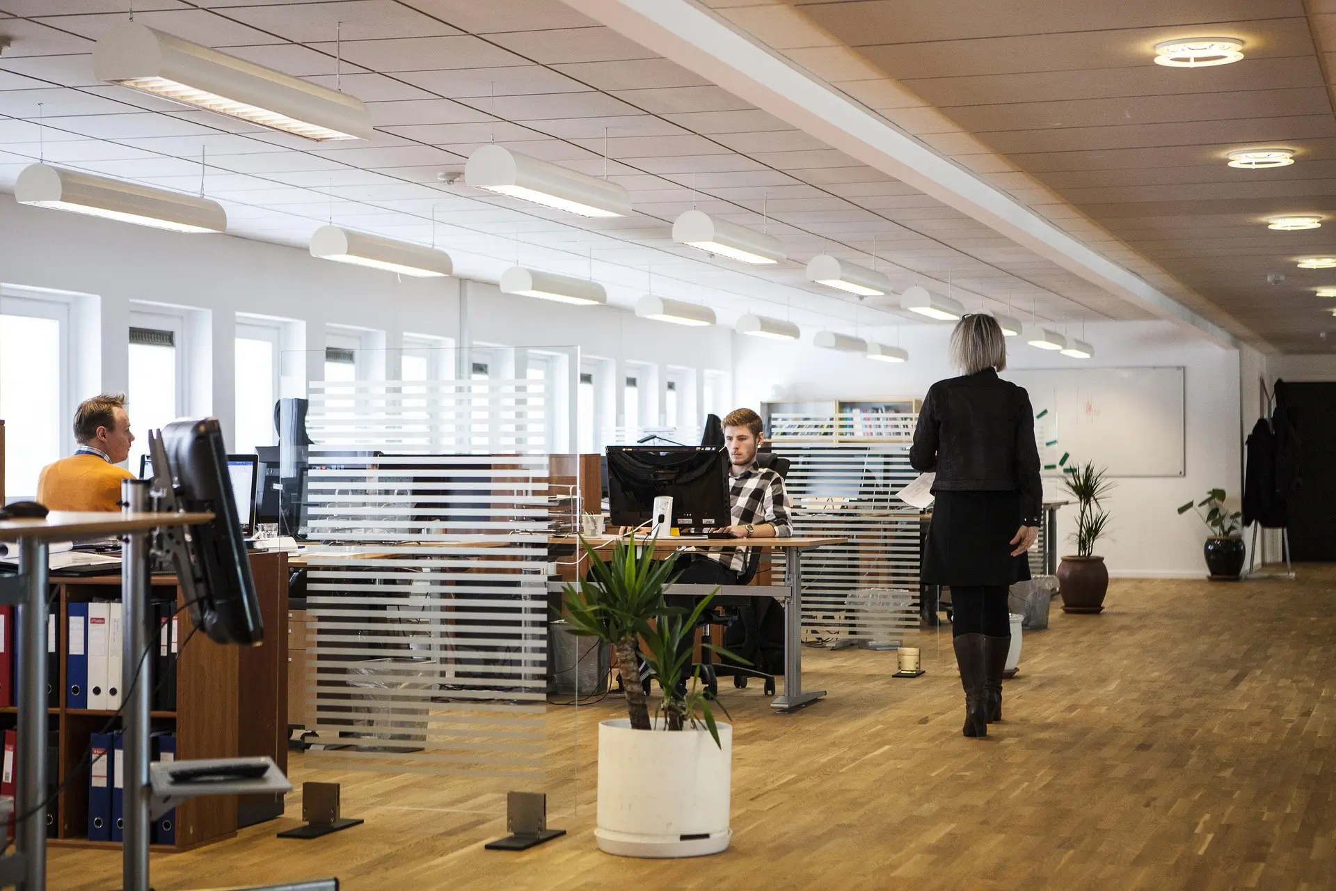 Private Equity Consulting Guide 2025: Due Diligence, Value Creation, Portfolio Operations, Carve Outs and PMO woman walking in an office with two people sitting down
