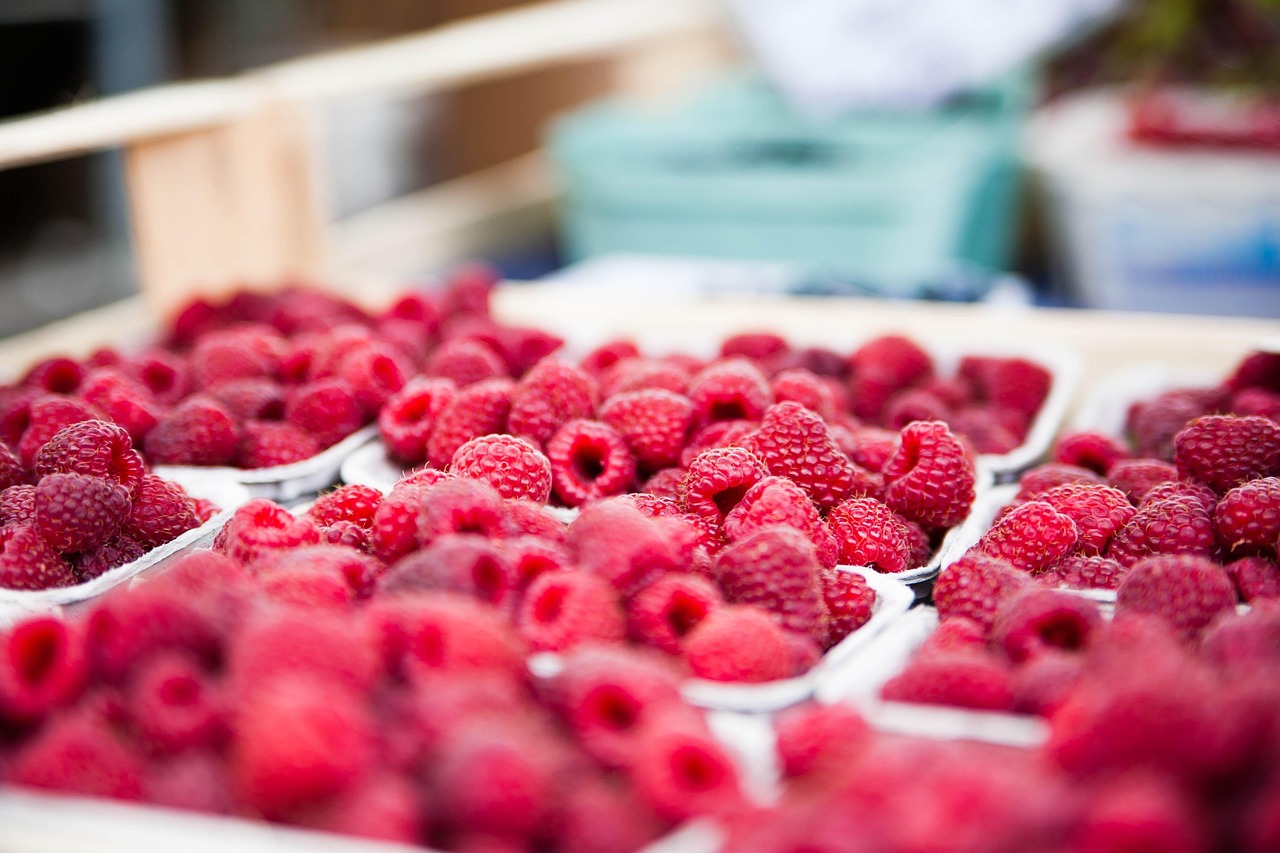 Vendor Transition & Transformation Plan Seamless Handover, Measurable Uplift Image of raspberries