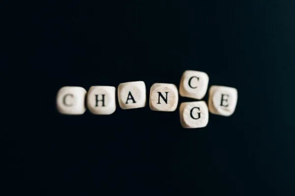 Business Change: Concept, Types, Examples and Techniques